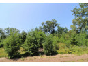 LOT20 Timber Trail, Spring Green, WI 53588