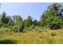 LOT20 Timber Trail, Spring Green, WI 53588