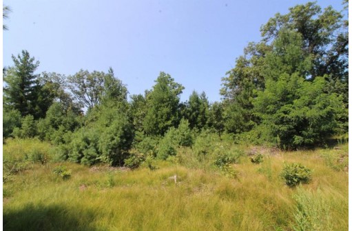 LOT20 Timber Trail, Spring Green, WI 53588