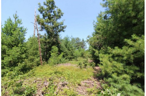 LOT20 Timber Trail, Spring Green, WI 53588