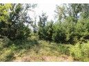 LOT20 Timber Trail, Spring Green, WI 53588