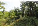 LOT20 Timber Trail, Spring Green, WI 53588