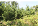 LOT20 Timber Trail, Spring Green, WI 53588