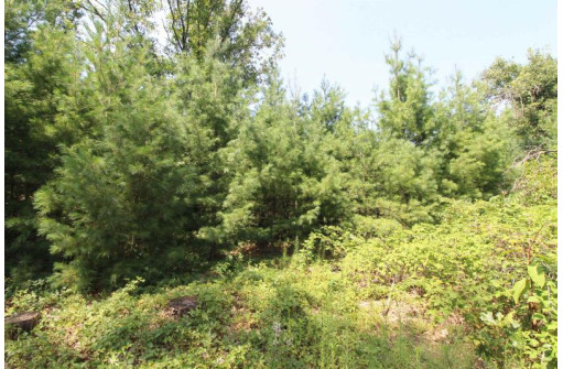 LOT20 Timber Trail, Spring Green, WI 53588