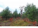 LOT20 Timber Trail, Spring Green, WI 53588