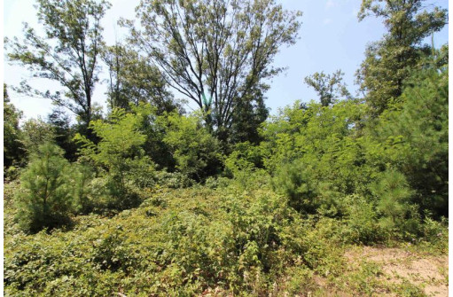 LOT20 Timber Trail, Spring Green, WI 53588