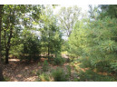 LOT20 Timber Trail, Spring Green, WI 53588