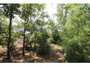 LOT20 Timber Trail, Spring Green, WI 53588