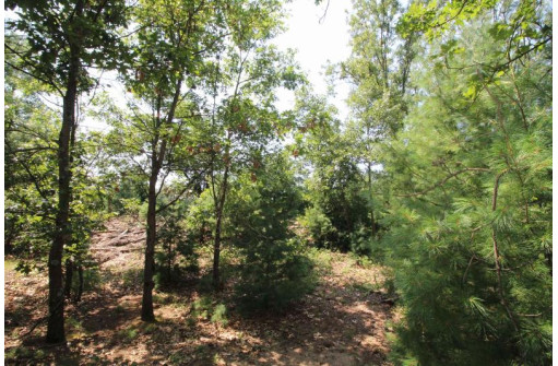 LOT20 Timber Trail, Spring Green, WI 53588