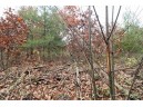 LOT20 Timber Trail, Spring Green, WI 53588