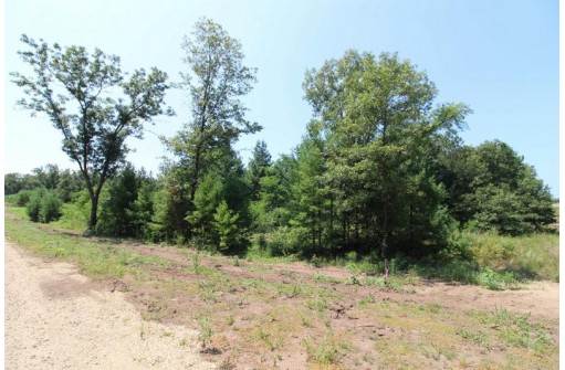 LOT20 Timber Trail, Spring Green, WI 53588