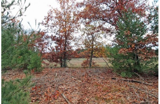 LOT20 Timber Trail, Spring Green, WI 53588