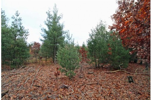 LOT20 Timber Trail, Spring Green, WI 53588