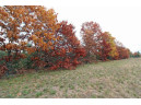 LOT20 Timber Trail, Spring Green, WI 53588