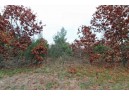 LOT20 Timber Trail, Spring Green, WI 53588