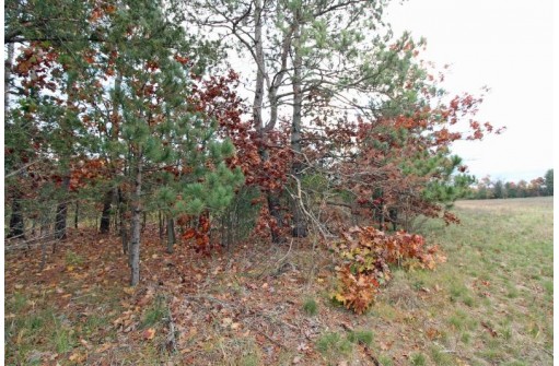 LOT20 Timber Trail, Spring Green, WI 53588