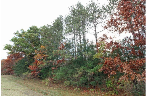 LOT20 Timber Trail, Spring Green, WI 53588