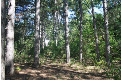 LOT 17 10th Lane, Grand Marsh, WI 53936