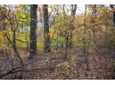 LOT 17 10th Lane, Grand Marsh, WI 53936