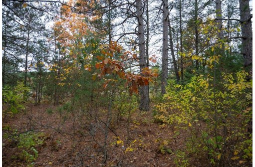 LOT 17 10th Lane, Grand Marsh, WI 53936