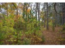 LOT 17 10th Lane, Grand Marsh, WI 53936