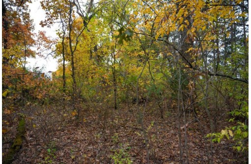 LOT 17 10th Lane, Grand Marsh, WI 53936