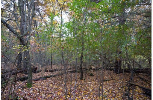 LOT 17 Fawn Drive, Grand Marsh, WI 53936