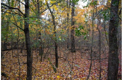 LOT 17 Fawn Drive, Grand Marsh, WI 53936