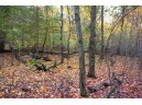 LOT 17 Fawn Drive, Grand Marsh, WI 53936