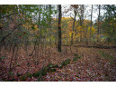 LOT 17 Fawn Drive, Grand Marsh, WI 53936