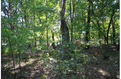 LOT 17 Fawn Drive, Grand Marsh, WI 53936