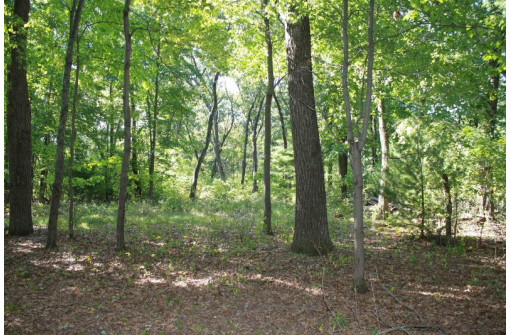 LOT 17 Fawn Drive, Grand Marsh, WI 53936