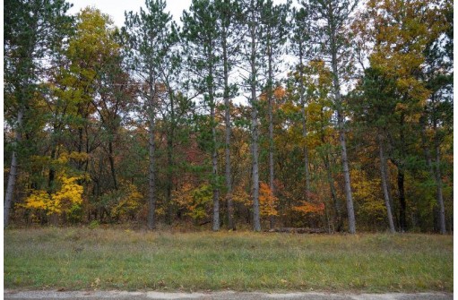 LOT 17 Fawn Drive, Grand Marsh, WI 53936