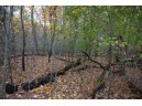 LOT 17 Fawn Drive, Grand Marsh, WI 53936