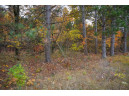 LOT 17 Fawn Drive, Grand Marsh, WI 53936