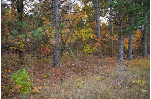 LOT 17 Fawn Drive, Grand Marsh, WI 53936