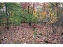 LOT 17 Fawn Drive, Grand Marsh, WI 53936