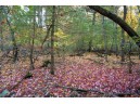 LOT 17 Fawn Drive, Grand Marsh, WI 53936