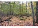 LOT 17 Fawn Drive, Grand Marsh, WI 53936