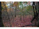 LOT 17 Fawn Drive, Grand Marsh, WI 53936