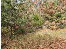 LOT 62 S Fur Drive, Wisconsin Dells, WI 53965