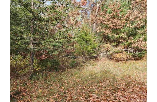 LOT 62 S Fur Drive, Wisconsin Dells, WI 53965