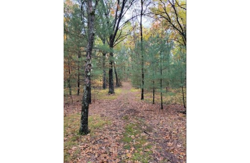 LOT 55 19th Creek, Arkdale, WI 54613