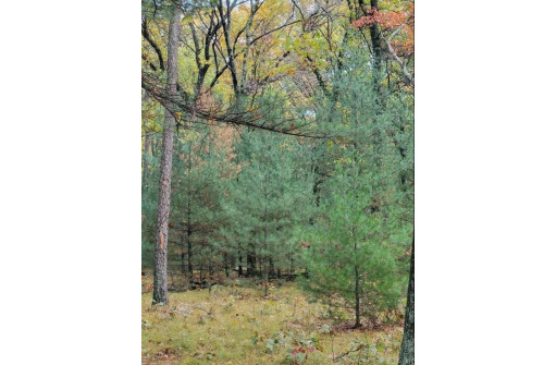 LOT 55 19th Creek, Arkdale, WI 54613