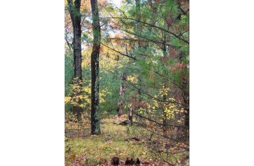 LOT 55 19th Creek, Arkdale, WI 54613