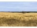 14 +/- ACRES County Road F, Blue Mounds, WI 53517