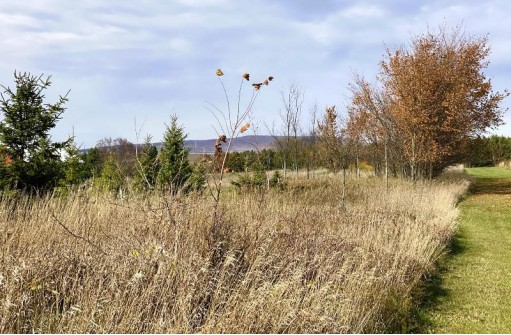 14 +/- ACRES County Road F, Blue Mounds, WI 53517