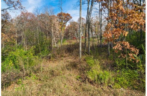 LOT 62 Swoboda, Verona, WI 53593