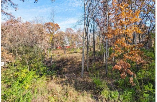 LOT 62 Swoboda, Verona, WI 53593