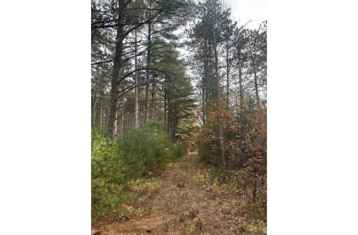 147+/-ACRES Happersett Lane, Redgranite, WI 54970